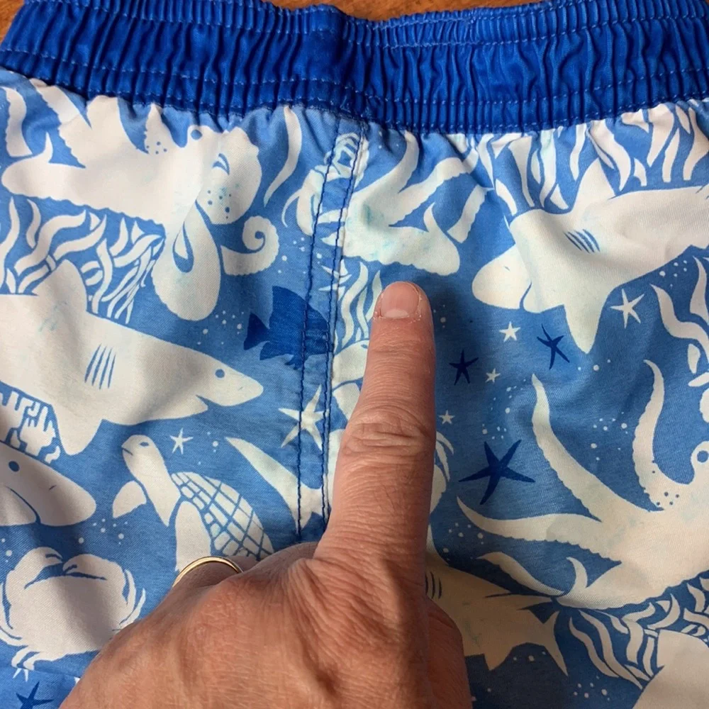 Swim Trunks - Picture 9 of 16